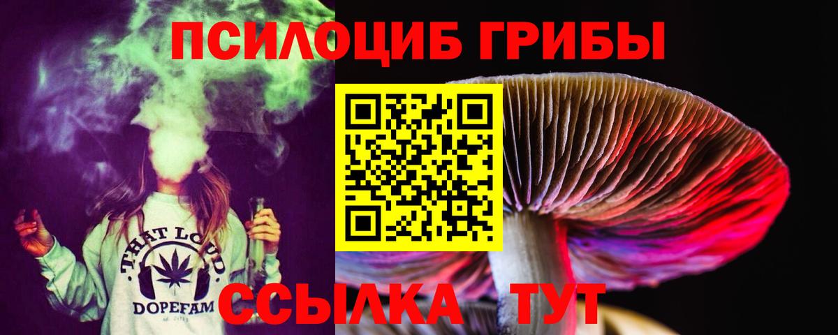 Карталы  Псилоцибиновые грибы Psilocybine cubensis  Вход с VPN 